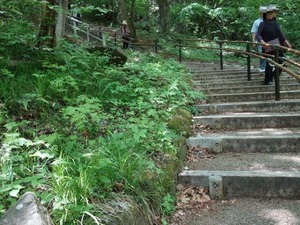 s_DSC02867
