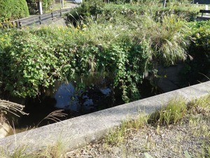 s_DSC06194