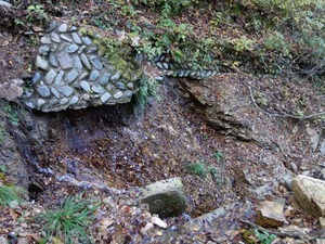 s_DSC06318