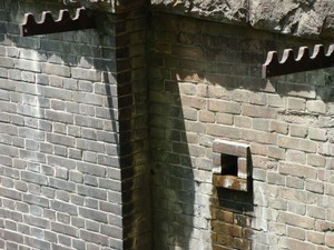 s_DSC02886