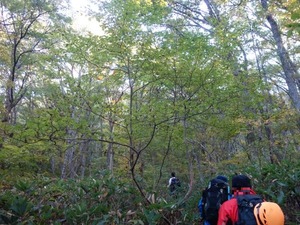 s_DSC06291