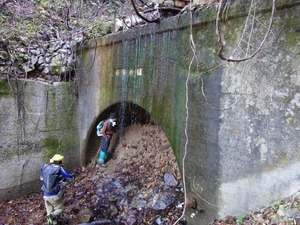 s_DSC06316