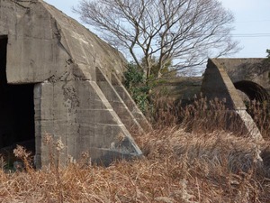 s_DSC01558