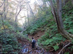 s_DSC06306