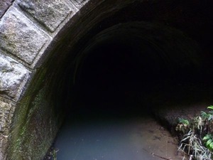 s_P1390212