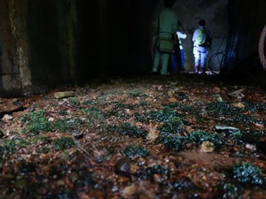 s_DSC08586