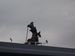 s_DSC08340