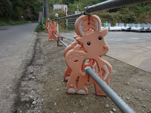 s_DSC06657