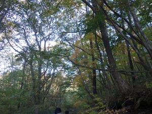 s_DSC06285