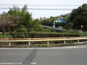 s_DSC06634