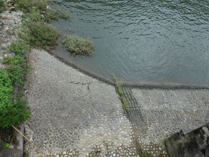 s_DSC00435
