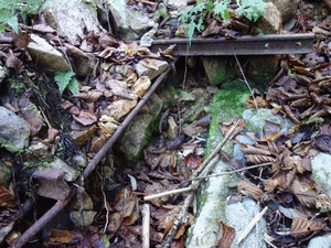s_DSC06313