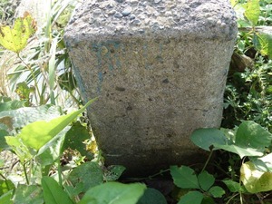 s_DSC06190