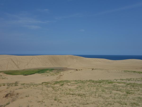 鳥取砂丘のオアシス はみ男の日記 仮