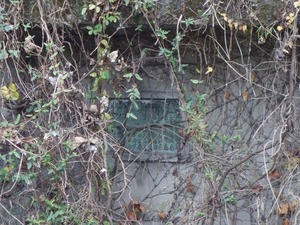 s_DSC07063