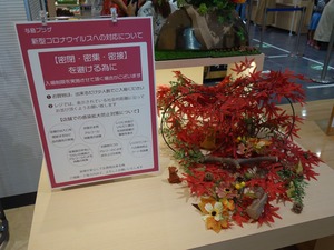 s_DSC02847