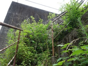 s_DSC00458