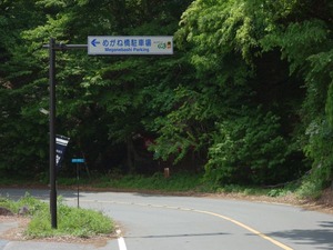 s_DSC02839