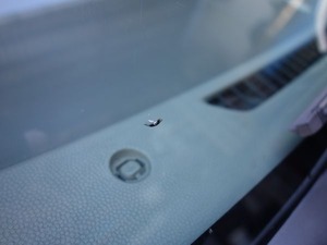 s_DSC04757