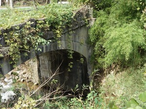 s_DSC06616