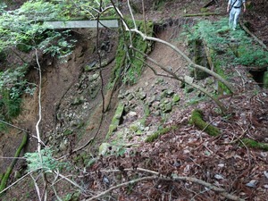 s_DSC08610