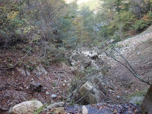 s_DSC06319