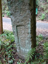 s_DSC02163