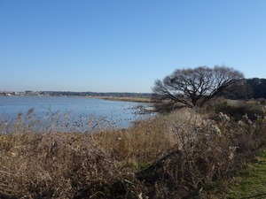 s_DSC07249