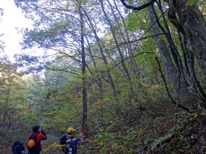 s_DSC06287