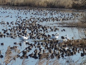 s_DSC07251