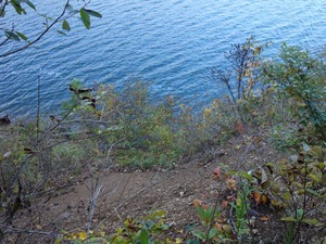 s_DSC06268