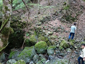 s_DSC08789