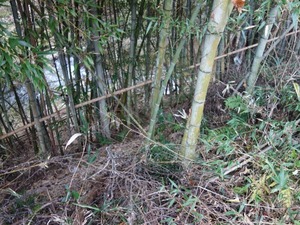 s_DSC07070
