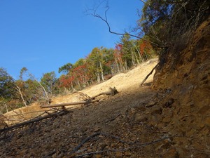 s_DSC06261