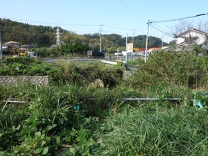 s_DSC06202
