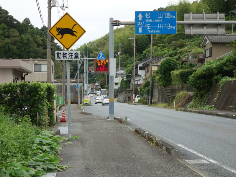 道路標識 動物注意（猫） : はみ男の日記（仮）