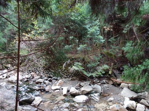 s_DSC07416