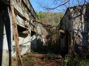 s_DSC00984