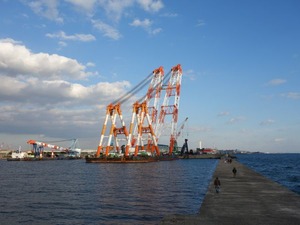 s_DSC01193