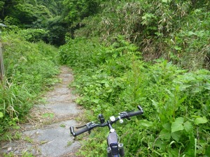 s_P1390185