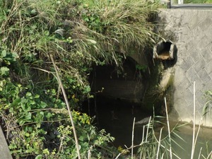 s_DSC06201