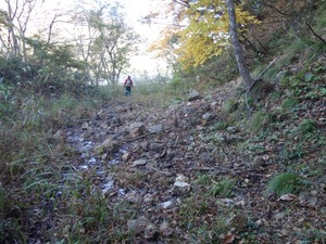 s_DSC06273
