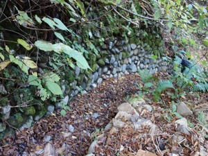 s_DSC06310