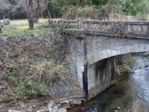 s_DSC07068