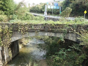 s_DSC06635
