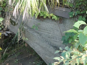 s_DSC06196