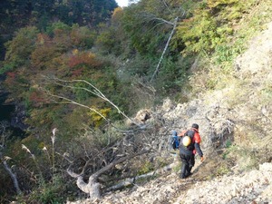 s_DSC06263