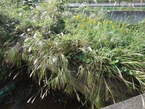 s_DSC06189