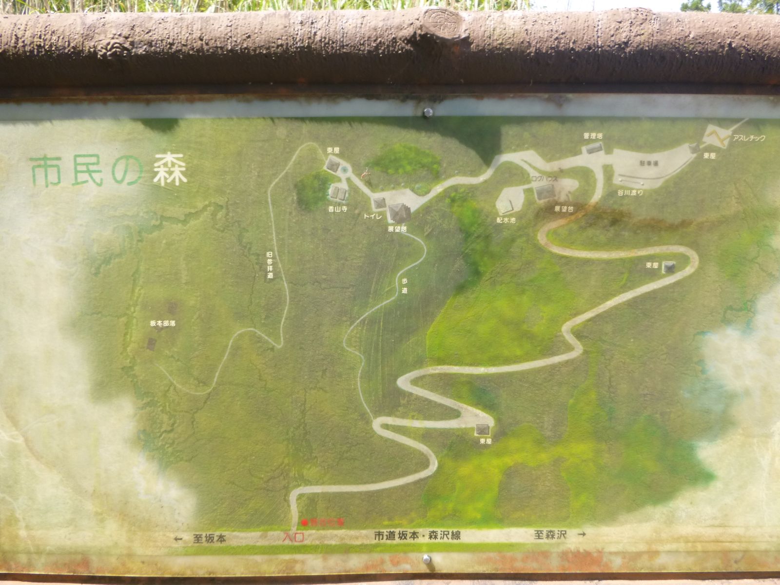 香山寺 市民の森 はみ男の日記 仮