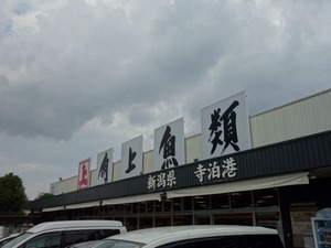 s_DSC04466